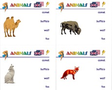 Holzcomputer-animals 04.pdf